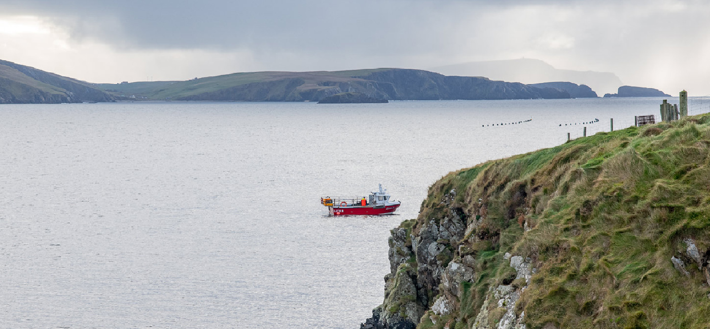 Moments from shetland logo with White silohette puffin on red sun background